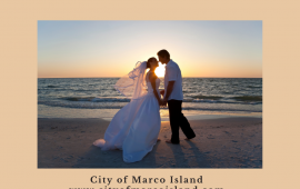 Picture of a bride and groom on the beach for sunset. Infographic has contact # for growth management and parks department