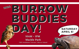 Announcement of Burrow Buddies Day