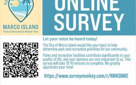 Flyer Online Survey