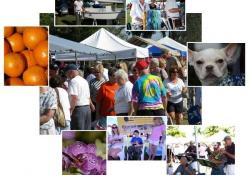 A collage of farmers's market photos