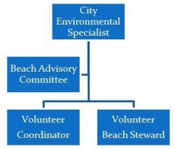 Organizational Chart of the Volunteer Beach Stewardship Program