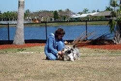 Woman Playing with Dog in Canine Cove