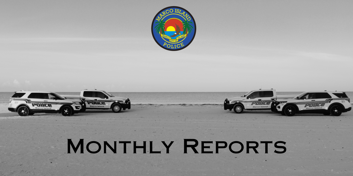 Monthly Report- Cars on Beach 